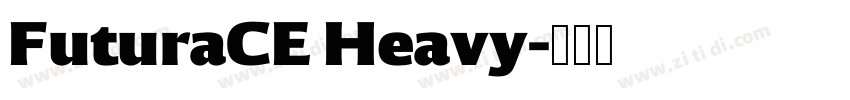 FuturaCE Heavy字体转换